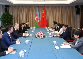 Azerbaijan, China agree on joint cooperation at COP29