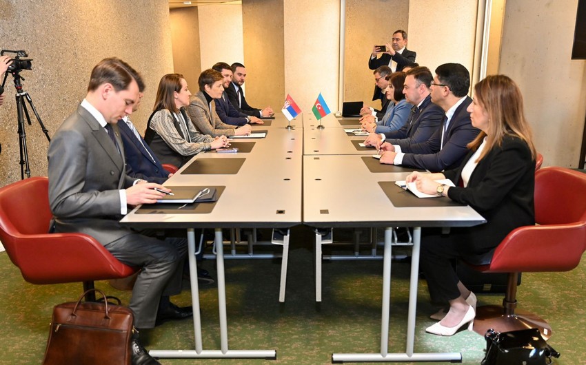 Спикеры парламентов Азербайджана и Сербии обсудили двустороннее сотрудничество