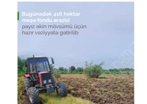 Bu günədək 416 hektar meşə fondu ərazisi payız əkini üçün hazırlanıb