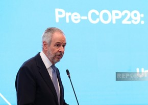 Brazilian representative: We expect to reach consensus at COP29 in Azerbaijan