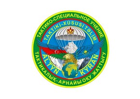 Azerbaijani servicemen participate in Altyn Kyran – 2024 exercise