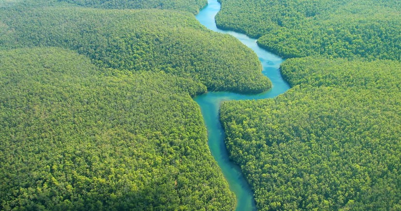 Amazon çayında son 20 ilin ən pis quraqlığı müşahidə edilib