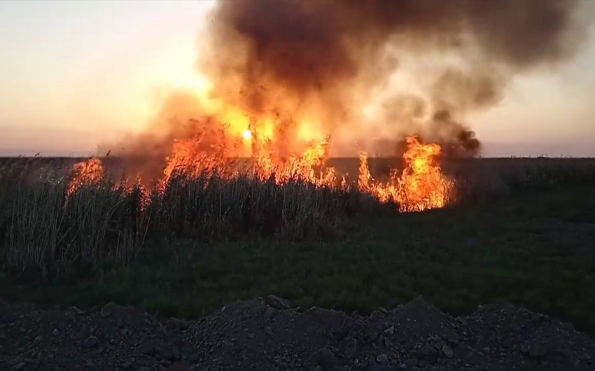В Джалилабаде возник пожар на открытой местности