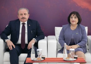 Azərbaycan və Türkiyə parlamentlərinin sədrləri görüşüb - YENİLƏNİB