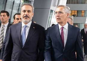 Глава МИД Турции и генсек НАТО обсудили расширение североатлантического альянса