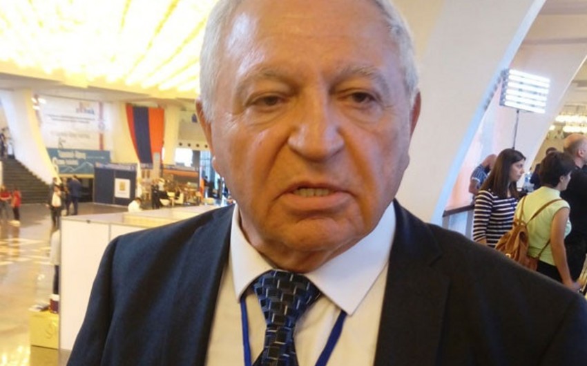 Армянский общественный деятель: Власти Армении на удивление алчны