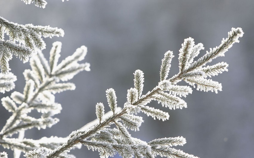 Frosty weather will continue in Azerbaijan