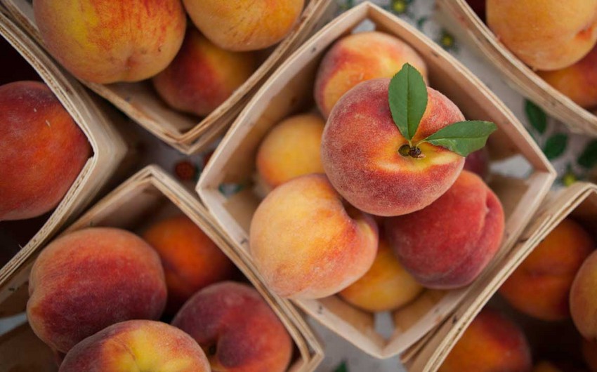 Azerbaijan resumes import of peaches from Iran