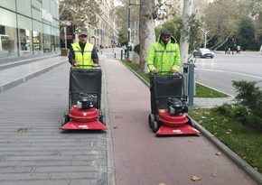 Bakıda küçə və parkları təmizləmək üçün yeni tozsoranlar gətirilib