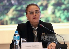Deputy Minister: Azerbaijan aims to prevent cultural heritage from being exposed to climate change