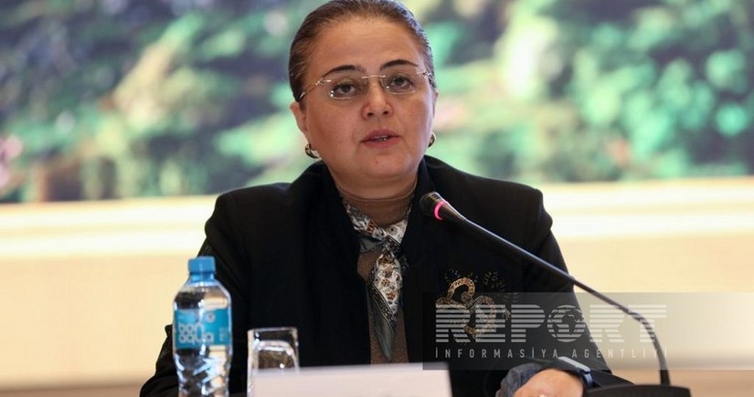Deputy Minister: Azerbaijan aims to prevent cultural heritage from being exposed to climate change