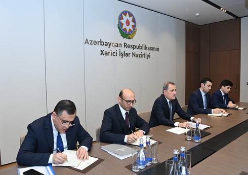 Глава МИД: Резолюции парламента Франции наносят удар по азербайджано-французским отношениям