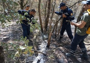 20-hectare forest area burns in Aghdam