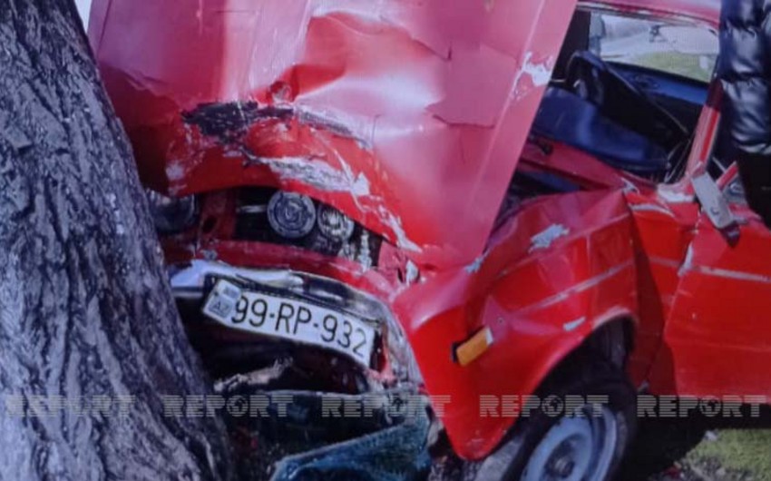В Лянкяране автомобиль врезался в дерево, водитель получил тяжелые травмы
