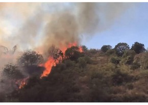 Armenians set fire to forest in Lachin - VIDEO