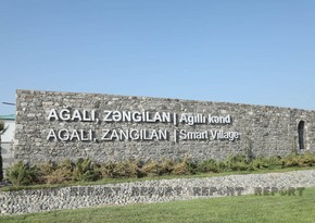 Participants of int’l conference visit Aghali village in Azerbaijan’s Zangilan