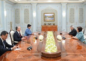 Azerbaijani parliament speaker meets with Kyrgyz President 