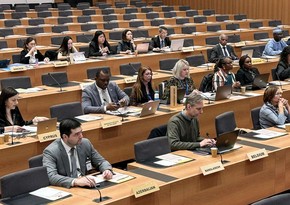 Azerbaijan participates in 33rd meeting of Revised Kyoto Convention Management Committee