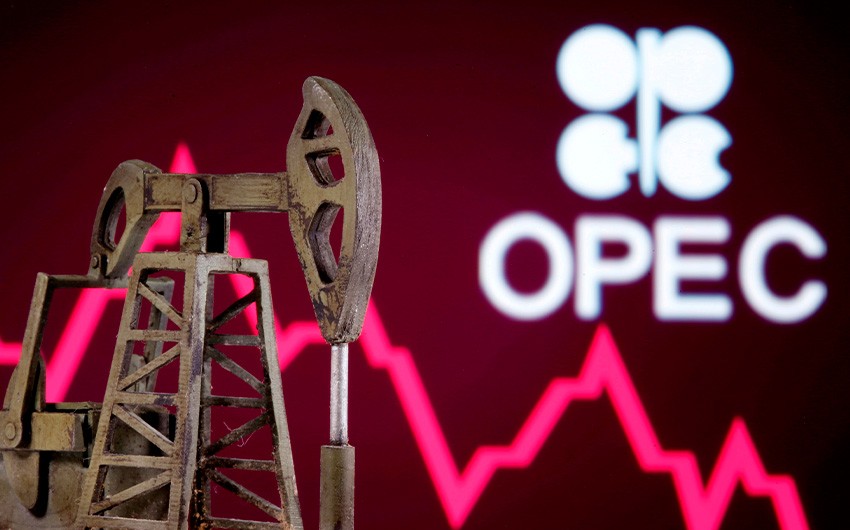 ОПЕК оценила нефтяные запасы ОЭСР в декабре