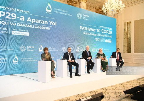 В Баку в рамках встречи высокого уровня обсудили адаптацию и устойчивость к изменениям климата