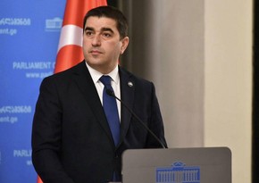 Спикер: Драка в парламенте Грузии могла быть заранее спланирована