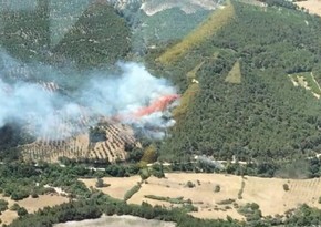 В Измире начался лесной пожар