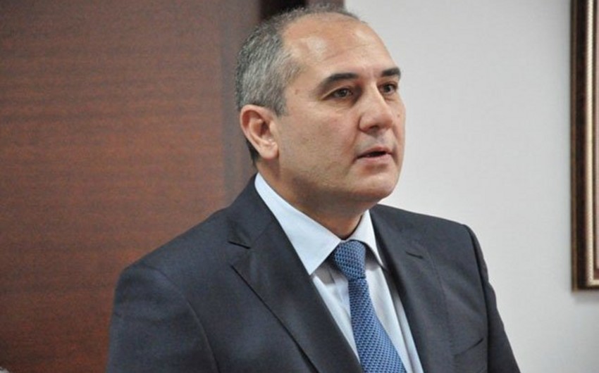 Тахир Будагов: Миграционное сальдо Азербайджана остается положительным