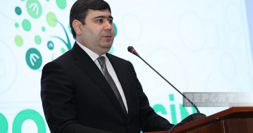 В Азербайджане 60% микрокредитов выданы на необеспеченных или частично обеспеченных условиях