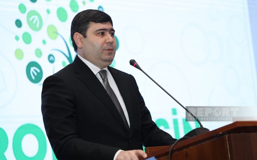В Азербайджане 60% микрокредитов выданы на необеспеченных или частично обеспеченных условиях