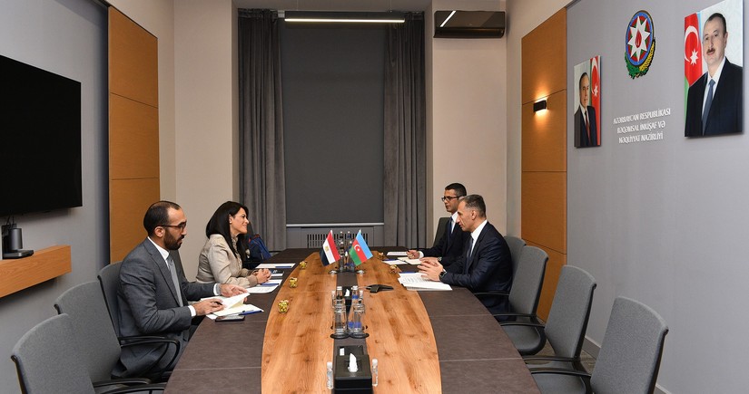 Azerbaijan and Egypt discuss business cooperation