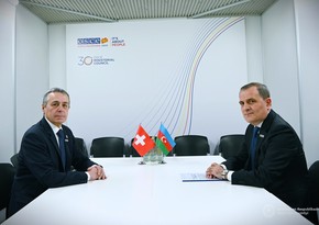 Главы МИД Азербайджана и Швейцарии провели встречу в Скопье