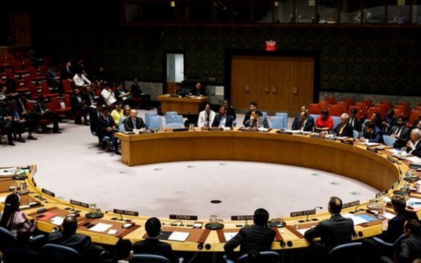 Cовбез ООН обсудит операцию Турции в Сирии