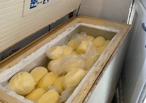 Masallıda fəaliyyət göstərən yağ istehsalı müəssisəsində nöqsanlar aşkarlanıb 