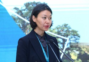 Adviser to president of Kazakhstan: We hope to continue joint efforts at COP29 in Baku