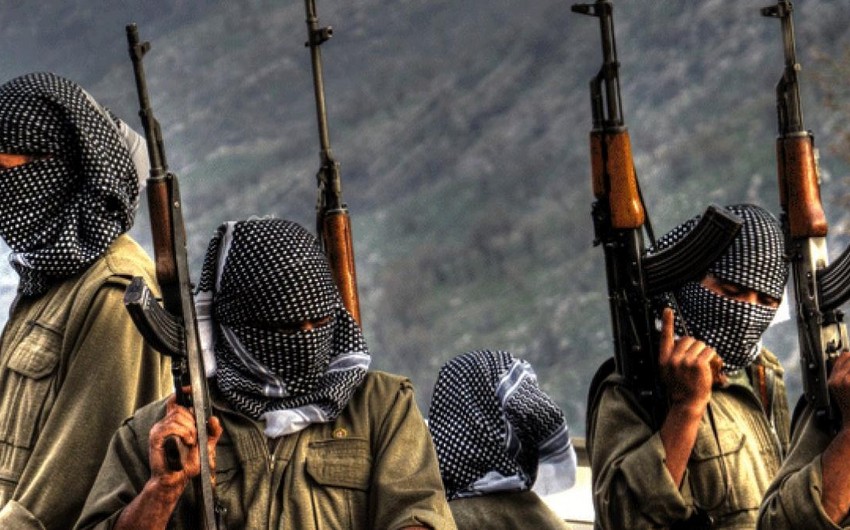 Türkiyədə PKK-nın 2 terrorçusu zərərsizləşdirilib