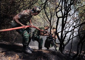 Азербайджанские и турецкие пожарные ликвидировали пожары в регионе Денизли