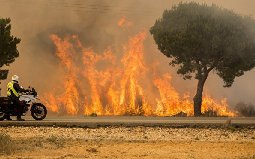 На юго-западе Испании почти 400 человек эвакуировали из-за лесного пожара