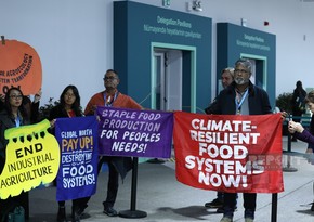 Organic farming activists demand climate justice at COP29