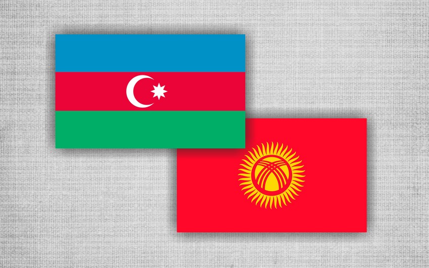 Председатели парламентов Азербайджана и Кыргызстана обсудили развитие двустороннего сотрудничества