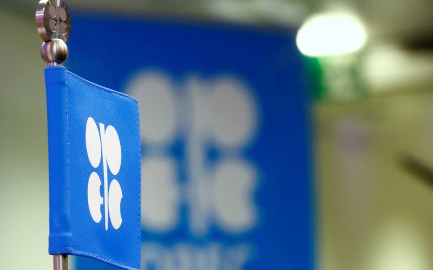 OPEC+ ölkələri gündəlik neft hasilatının həcmini 500 min barel azaltmağa razılaşıb