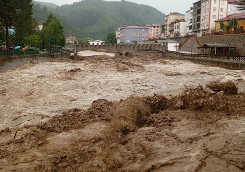 В Турции в результате проливных дождей погибли два человека