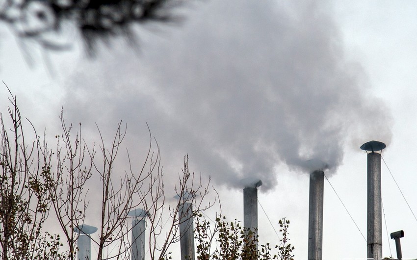 В Баку директора завода крупно оштрафовали за загрязнение окружающей среды