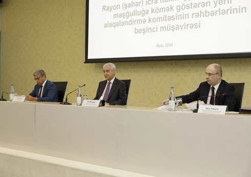 В Баку прошло совещание, посвященное деятельности координационных комитетов содействия занятости