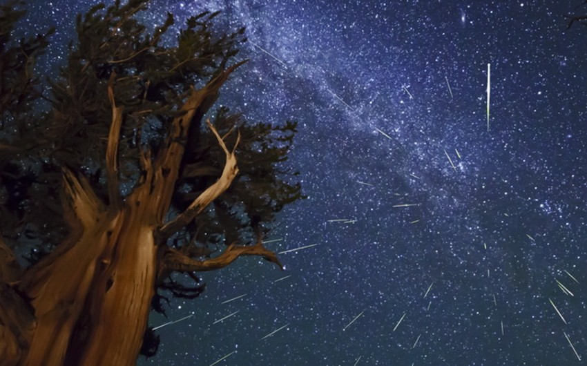 ​Обсерватория: Сегодня ночью на землю прольется метеоритный дождь