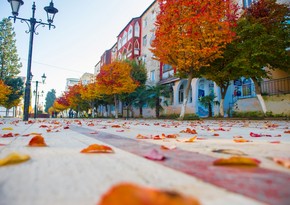 Golden Autumn in Lankaran - PHOTO REPORT