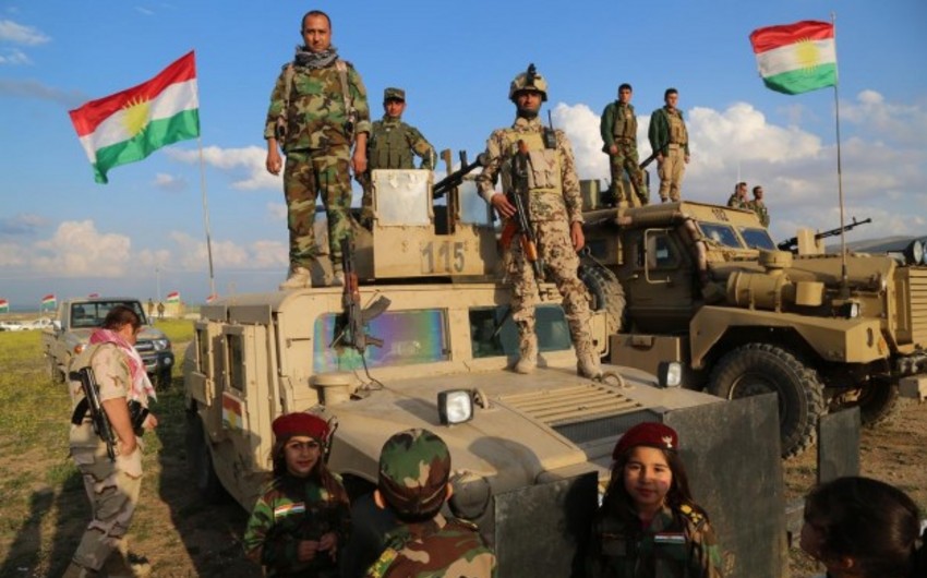 Peshmerga retake 11 villages from Daesh in north Iraq: US