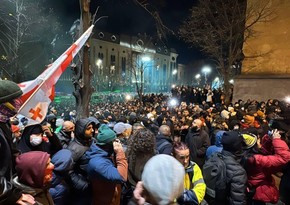 В Тбилиси в ходе акции протеста пострадали 44 человека