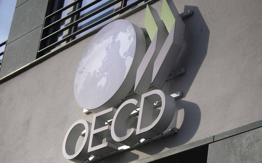 OECD gələn il avrozonada iqtisadi artımla bağlı proqnozunu pisləşdirib