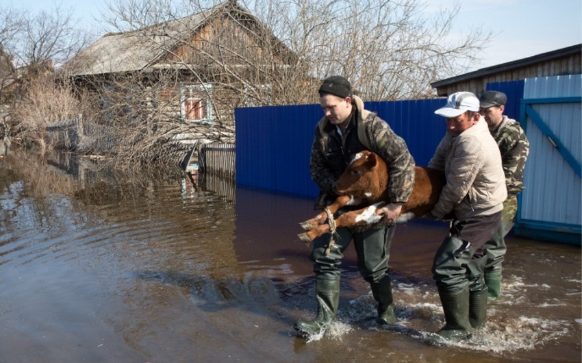 ​Rusiyada 72 yaşayış məntəqəsini su basıb