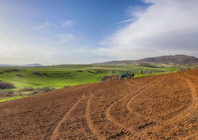 PM: 55.2% of unified land fund in Azerbaijan suitable for agriculture